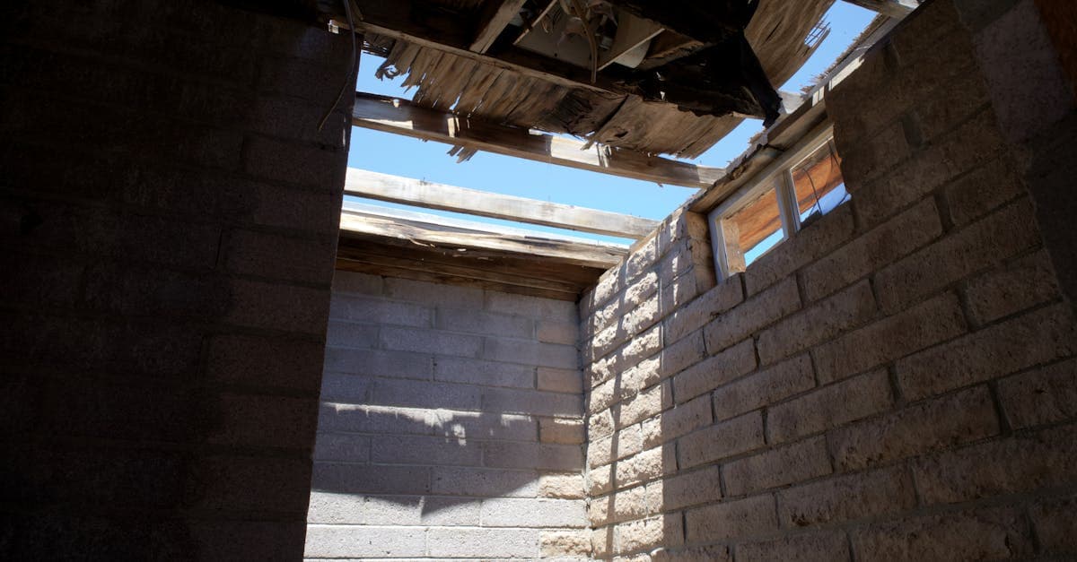 Cover Image for Mold From a Roof Leak: Is It Covered by Homeowners Insurance?