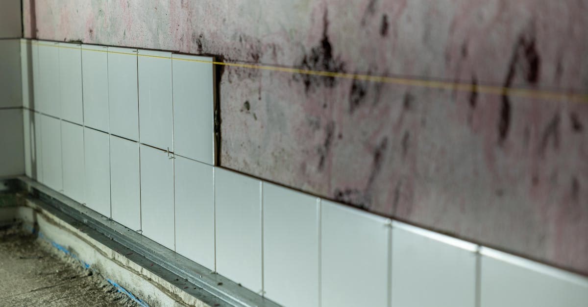 Cover Image for Mold After Water Damage: How Long Before Coverage Ends?