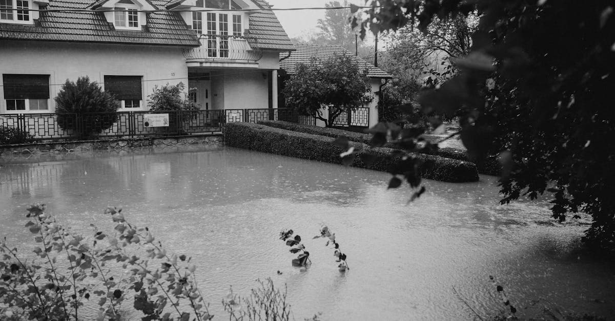Cover Image for What Homeowners Insurance Covers That Flood Insurance Does Not
