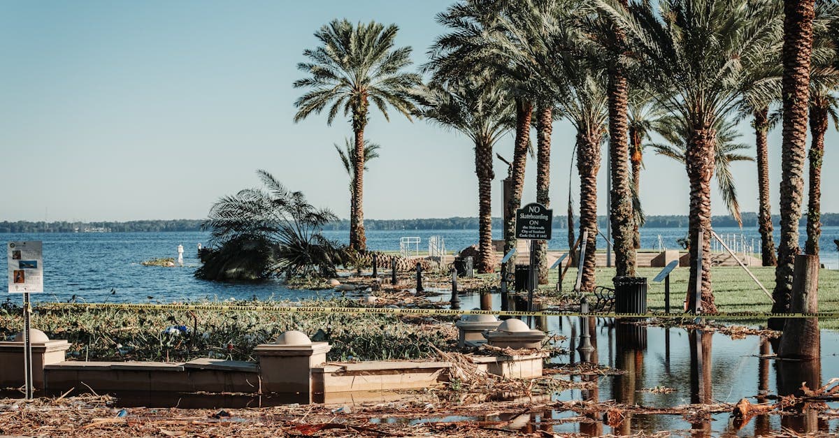 Cover Image for How Florida Condo Owners Deal With Hurricane Deductibles