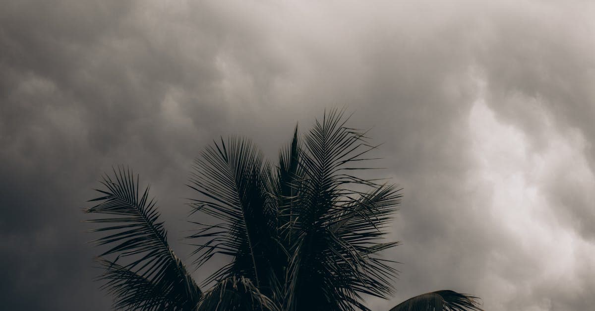 Cover Image for How Insurance Companies Determine When Hurricane Deductibles Apply