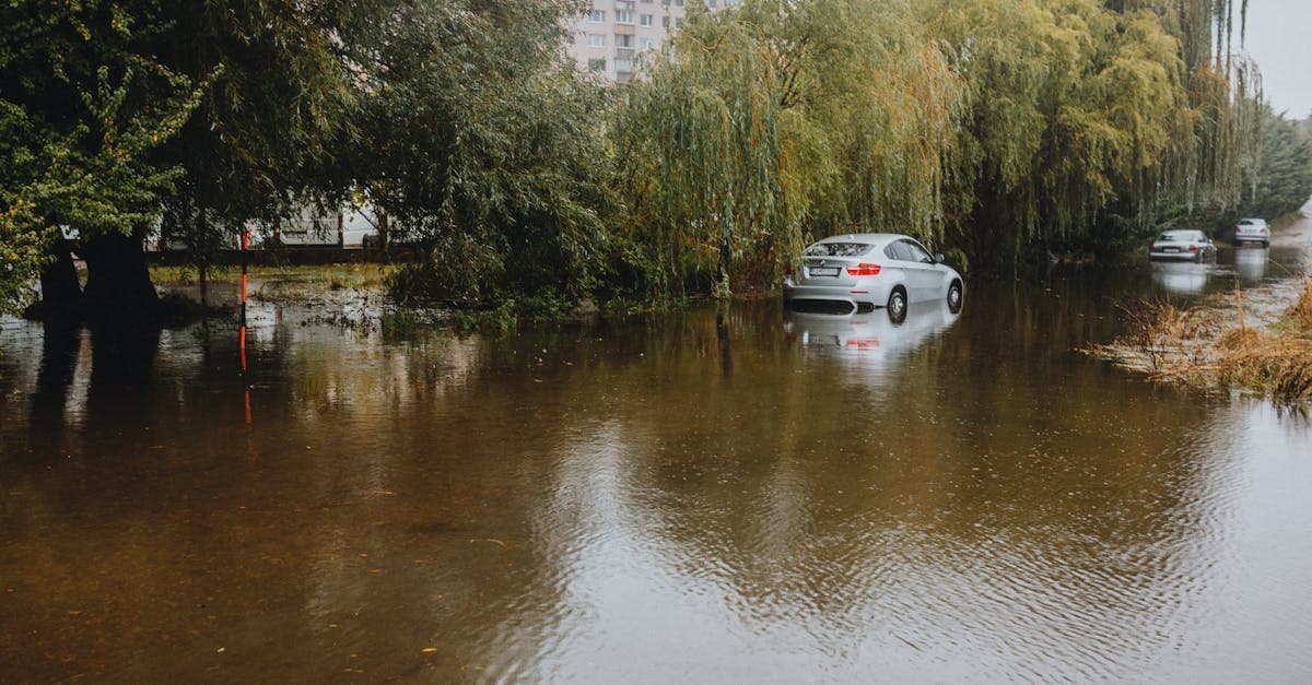 Cover Image for Can Your Landlord Require You to Carry Flood Insurance?